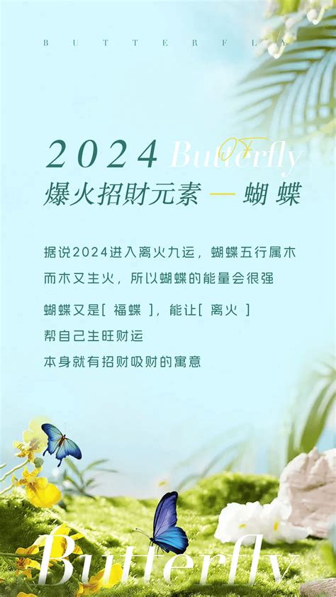 蝴蝶五行|为什么蝴蝶在2024年这么旺？